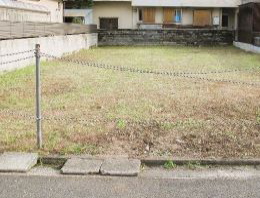 草刈り、庭木の剪定 草刈り 庭木の剪定